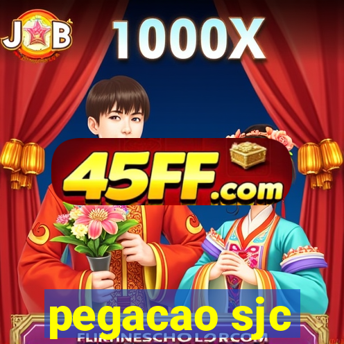 pegacao sjc
